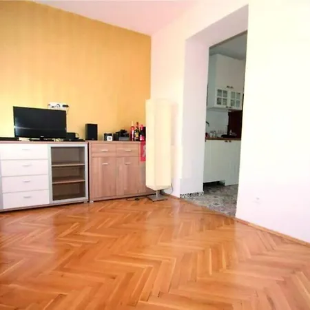 Apartment Groslingova 52 *